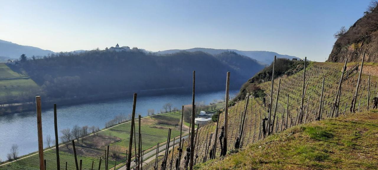 In Spay Smile Zell-merl Mosel Zell an der Mosel
