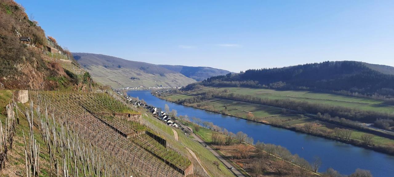 In Spay Smile Zell-merl Mosel Apartment Zell an der Mosel